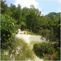 반석장묘개발 PC 갤러리 6