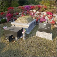 반석장묘개발 PC 갤러리 18